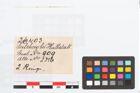 Etikett zu Bronzering (NHMW-PRAE-026403)